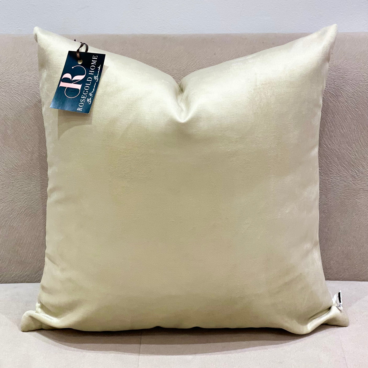 Coussin décoratif en velours beige clair